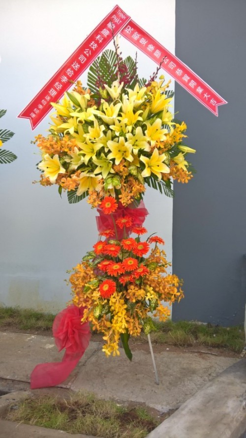 Flowers Opened In Binh Duong 72