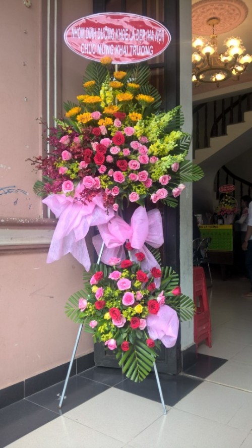 Flowers Opened In Binh Duong 73