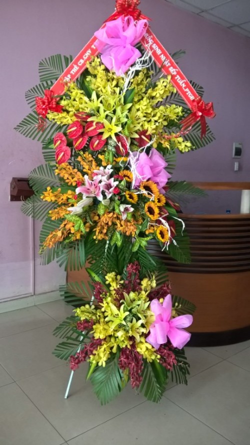 Flowers Opened In Binh Duong 74