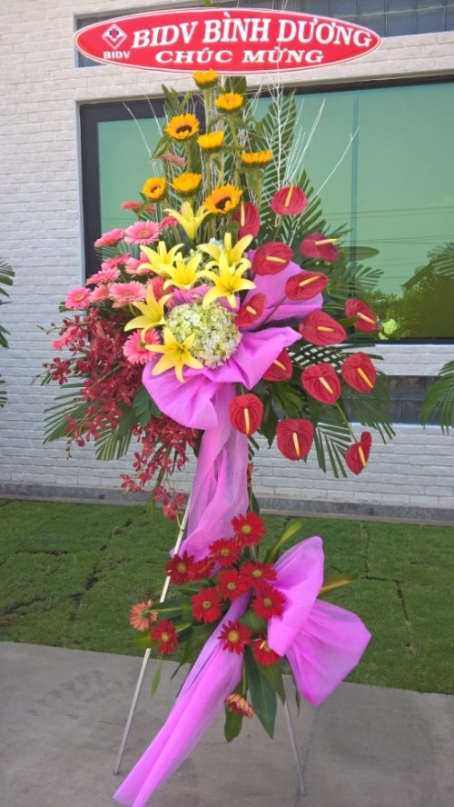 Flowers Opened In Binh Duong 77