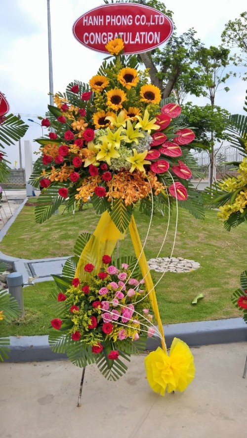 Flowers Opened In Binh Duong 80