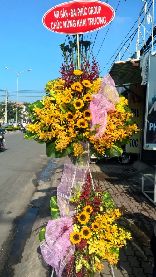 Flowers Opened In Binh Duong 84