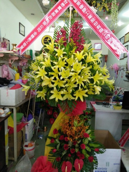 Flowers Opened In Binh Duong 86