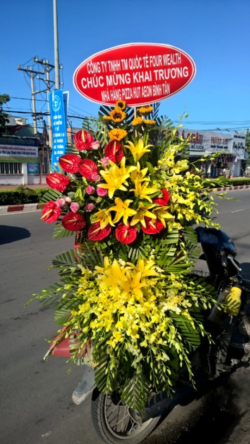 Flowers Opened In Binh Duong 88