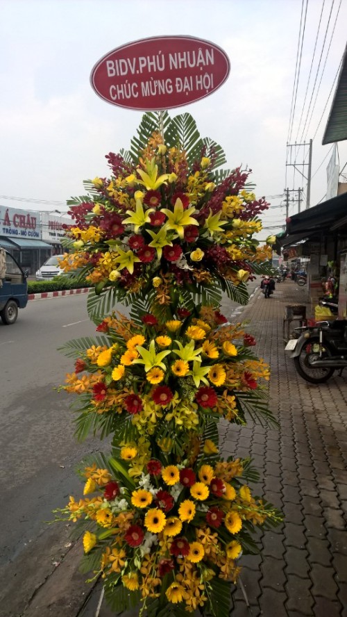 Flowers Opened In Binh Duong 89
