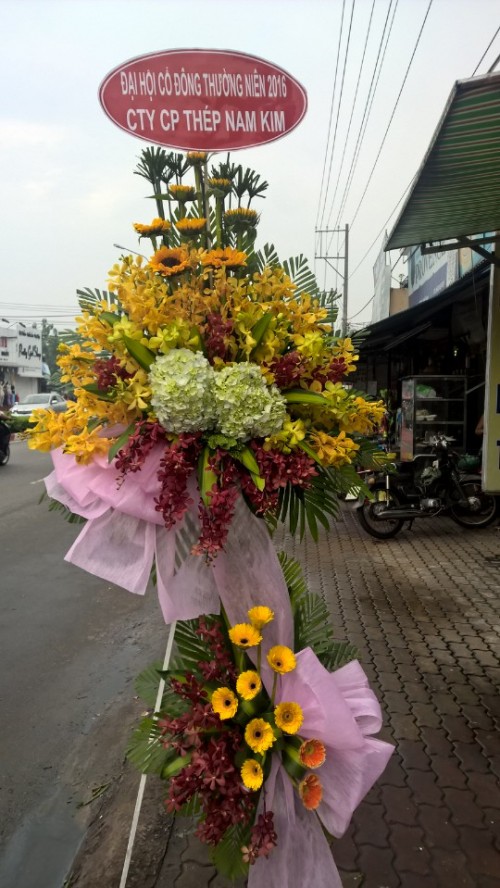 Flowers Opened In Binh Duong 90