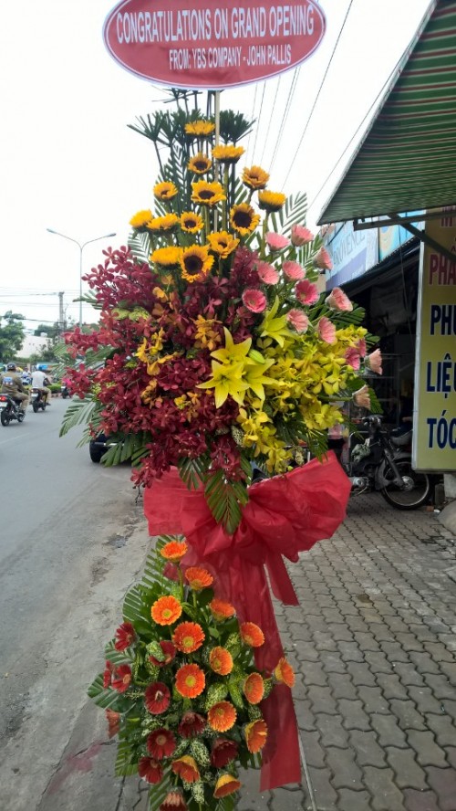 Flowers Opened In Binh Duong 91