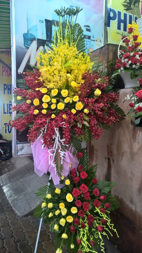 Flowers Opened In Binh Duong 92