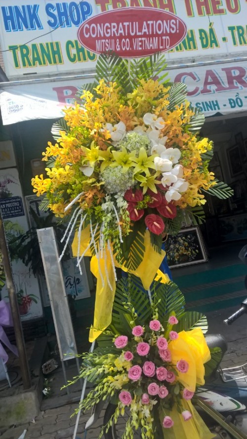 Flowers Opened In Binh Duong 93