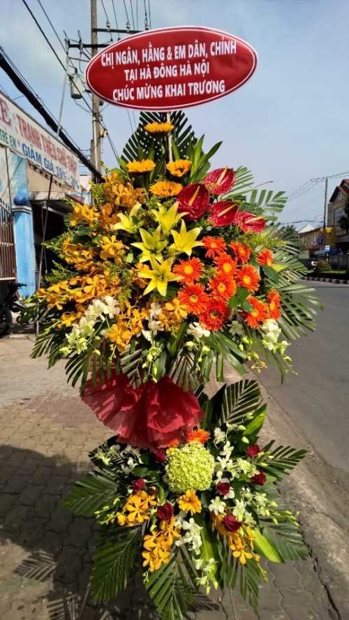 Flowers Opened In Binh Duong 96