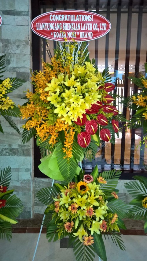 Flowers Opened In Binh Duong 97