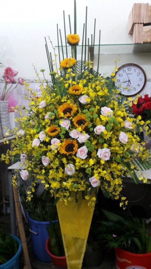 Flowers Opened In Binh Duong 100
