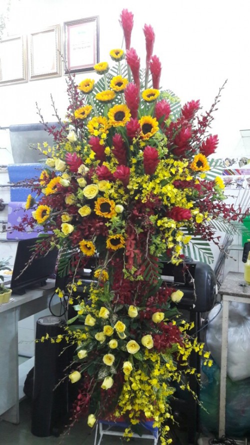 Flowers Opened In Binh Duong 101