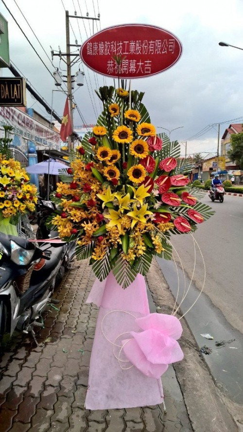 Flowers Opened In Binh Duong 102