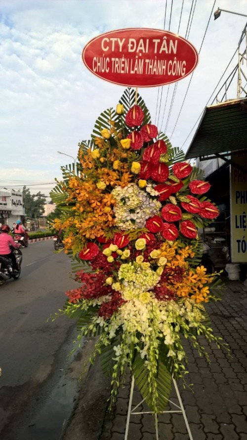 Flowers Opened In Binh Duong 103