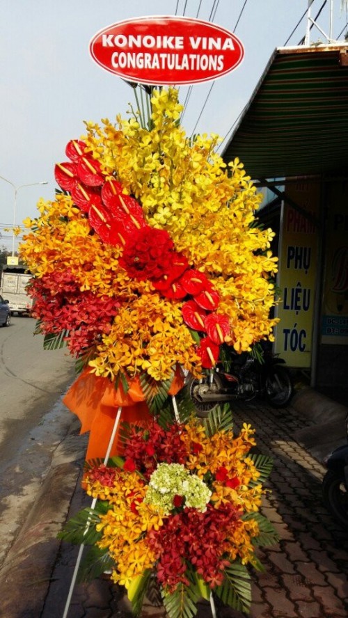 Flowers Opened In Binh Duong 104