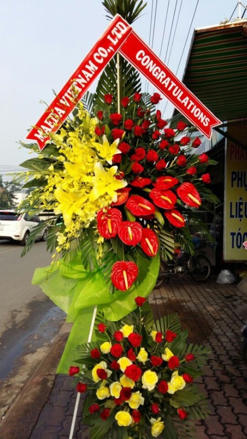 Flowers Opened In Binh Duong 105