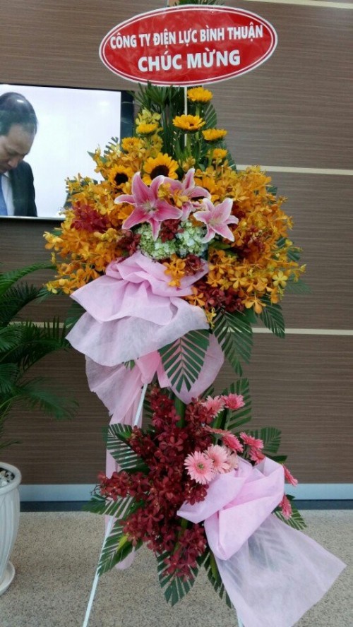 Flowers Opened In Binh Duong 106