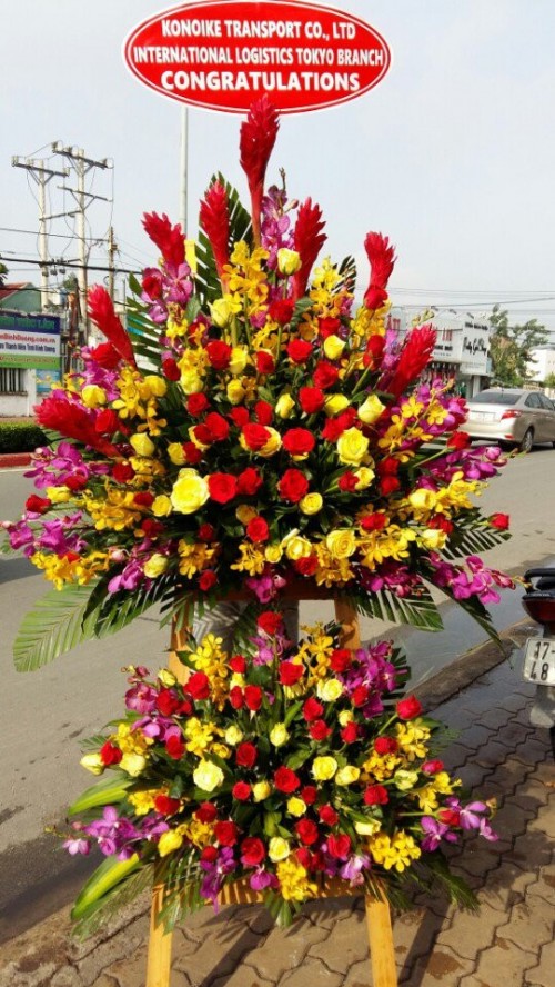 Flowers Opened In Binh Duong 107