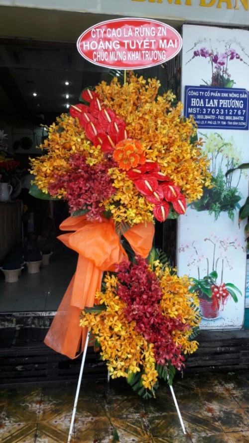 Flowers Opened In Binh Duong 108