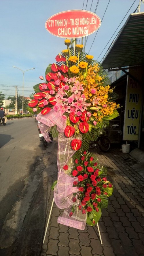 Flowers Opened In Binh Duong 109