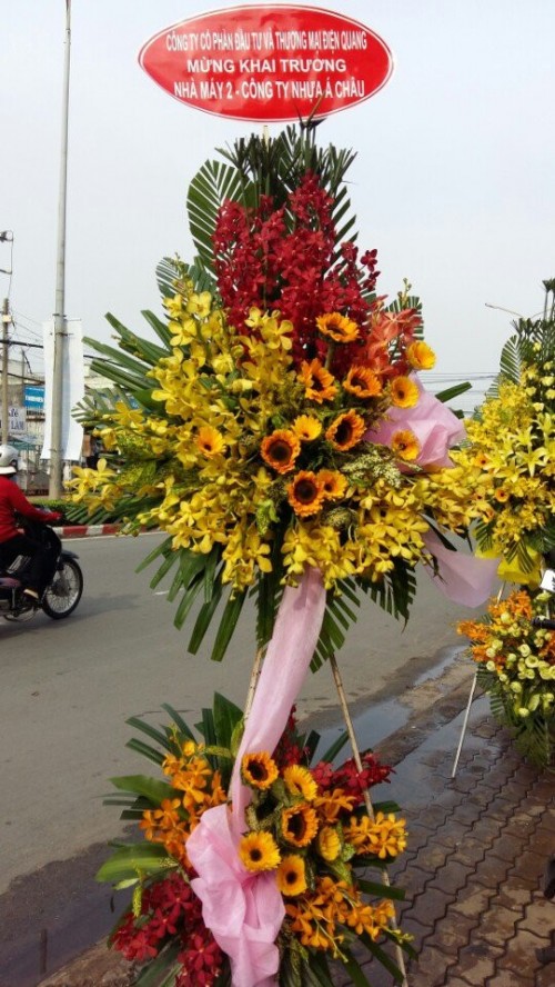 Flowers Opened In Binh Duong 111