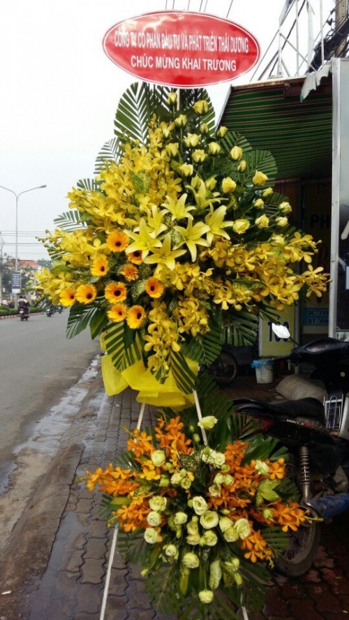 Flowers Opened In Binh Duong 112