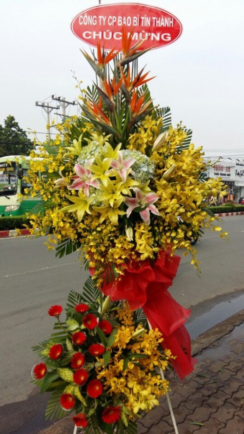 Flowers Opened In Binh Duong 114
