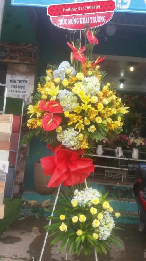 Flowers Opened In Binh Duong 115