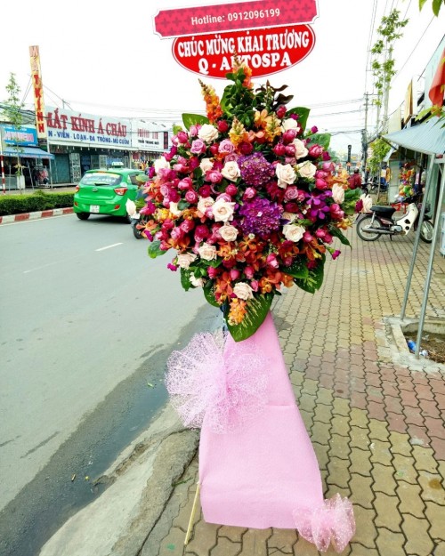 Flowers Opened In Binh Duong 116