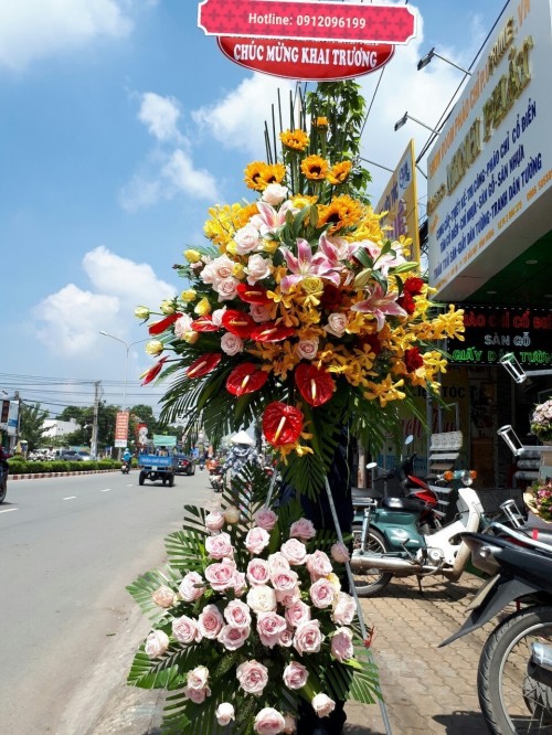 Flowers Opened In Binh Duong 117