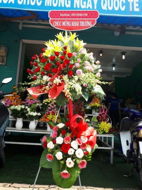 Flowers Opened In Binh Duong 70
