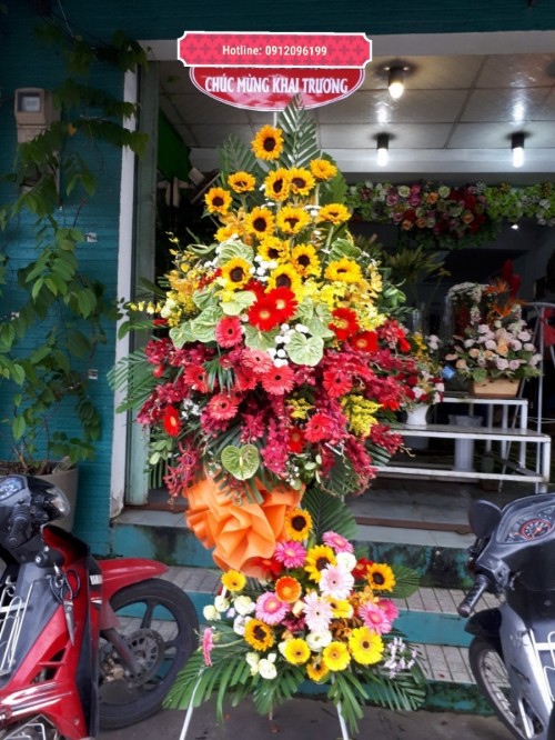 Flowers Opened In Binh Duong 76