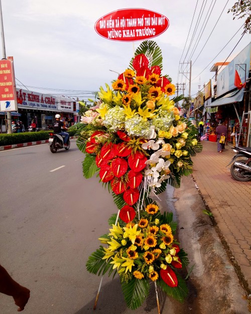 Flowers Opened In Binh Duong 98
