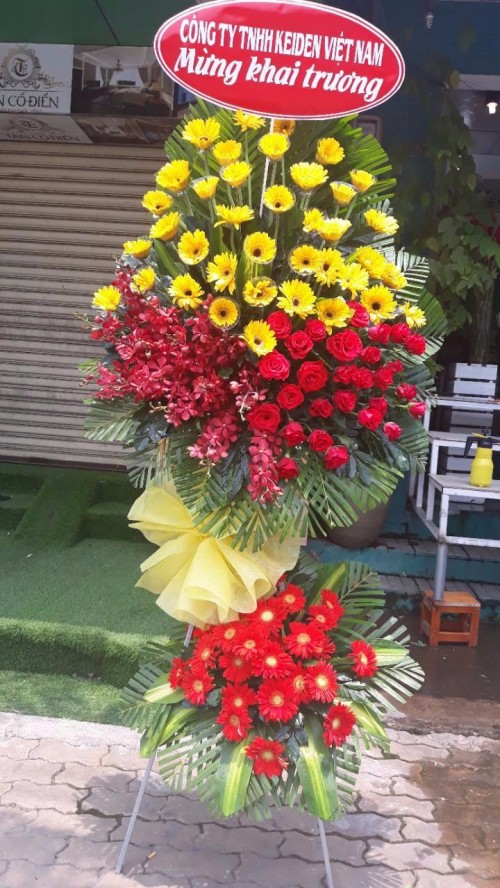 Flowers Opened In Binh Duong 119