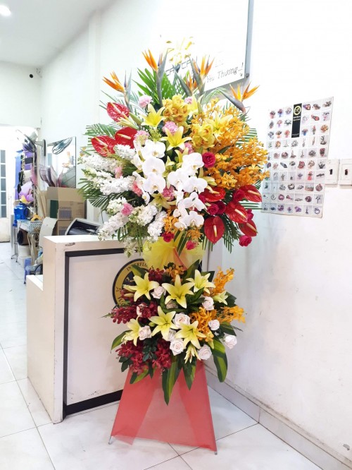 Flowers Opened In Binh Duong 122