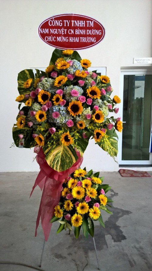 Flowers Opened In Binh Duong 03