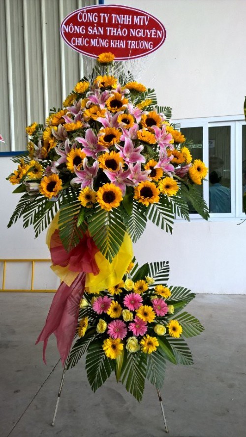 Flowers Opened In Binh Duong 09