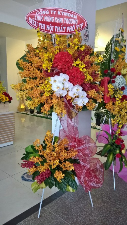 Flowers Opened In Binh Duong 47