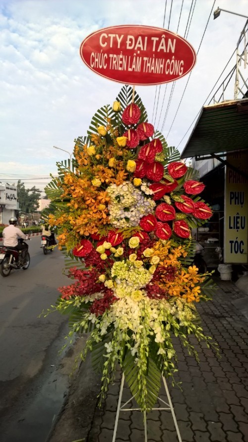 Flowers Opened In Binh Duong 83