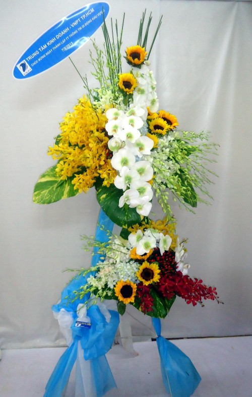 Flowers Opened In Binh Duong 06